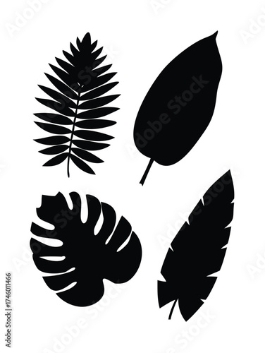 Solid Black Silhouette Vector Set of Tropical Leaves