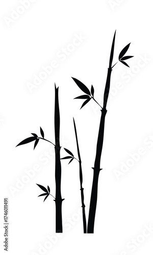 Solid Black Silhouette Vector of a Bamboo Plant