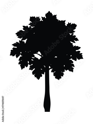 Solid Black Silhouette Vector of a Papaya Tree