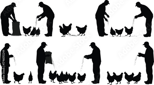Farmer feeding chickens silhouette vector, agriculture worker with poultry, rural farming lifestyle illustration, traditional farm animal care and countryside agriculture concept