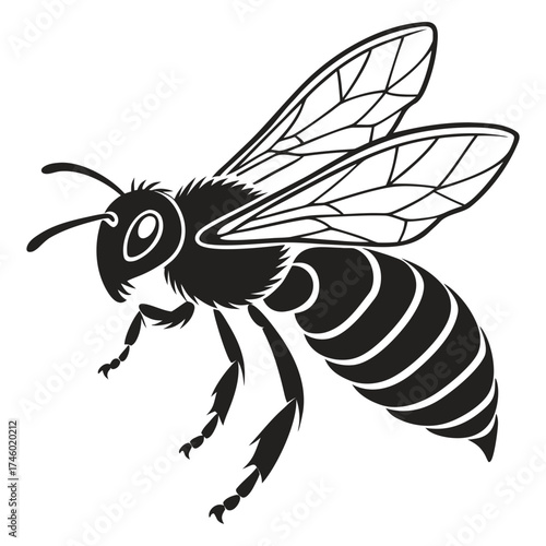 Stylized black and white flying honey bee illustration
