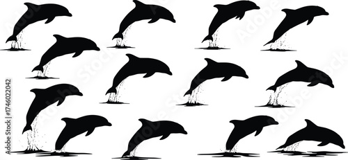 Jumping dolphin silhouette collection, marine wildlife vector illustration, ocean animal design, aquatic life art, sea nature concept for decoration and logo.