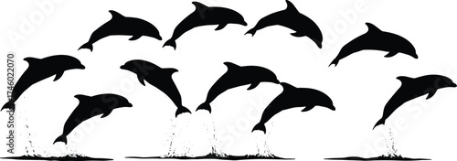 Jumping dolphin silhouette collection, marine wildlife vector design, ocean animal illustration, sea nature art, aquatic life concept for decoration and 