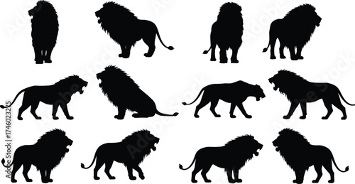 Lion silhouettes in different poses, wild animal vector illustration, African wildlife concept, majestic big cat standing, roaring, walking, isolated design