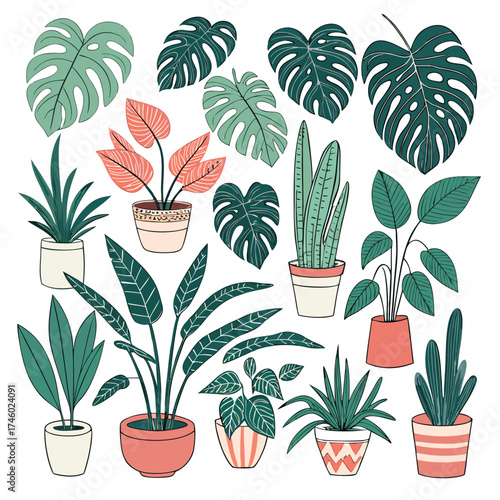 Assorted Potted Plants and Loose Leaves houseplants