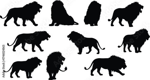 Majestic lion silhouettes in various poses, roaring and walking, powerful wild animal illustration, African jungle predator vector, wildlife art design