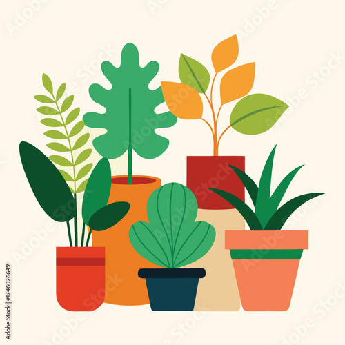 Diverse Potted Plants with Colorful Geometric Pots