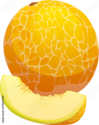 Cartoon cantaloupe melon tropical ripe raw fruit. Isolated vector fresh whole melon and slice with textured rind and pale greenish yellow flesh. Healthy food, summer dessert, vegetarian nutrition