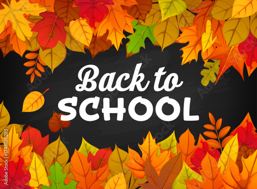 Back to school autumn banner with fall leaves around chalkboard background. Vector greeting message on blackboard season for students, teachers, autumn season academic promotions or announcements