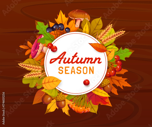 Fall season round banner with frame wreath of autumn leaves foliage, vector wooden background. Oak acorns, mushrooms or berries and wheat stalks harvest with autumn leaf for fall seasonal greetings