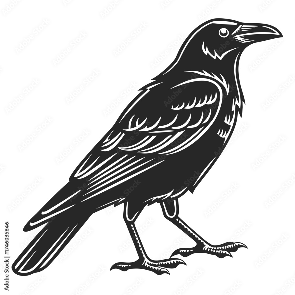 Fototapeta premium Stylized black and white raven illustration on a black background