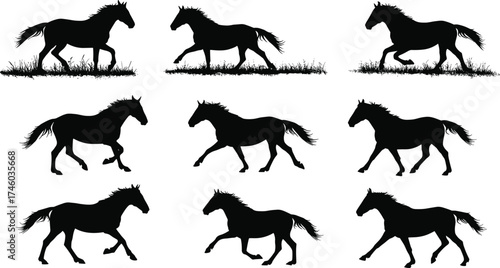 Silhouette of deer family standing together on white background, wildlife nature illustration, majestic stag herd with antlers, outdoor animal design.