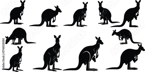 Silhouette of kangaroo and joey, Australian wildlife vector, nature animal illustration, marsupial family design, mother kangaroo protecting baby