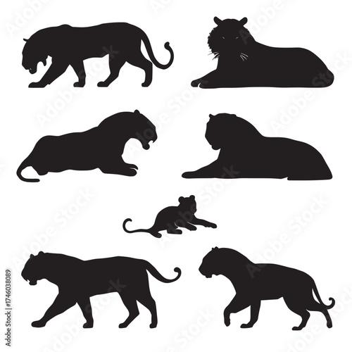 Vector silhouette collection of tigers running and standing in black icons