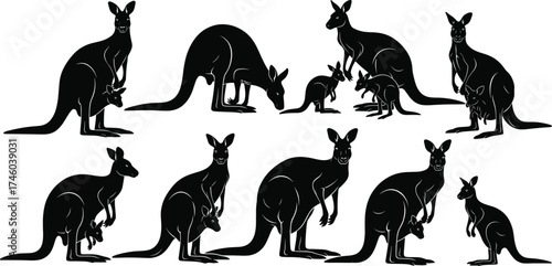Silhouette of kangaroos with joeys, wildlife animal illustration, Australian nature concept, mother kangaroo care, wildlife design, marsupial family art