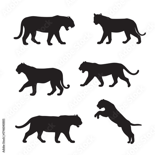 black silhouettes of tigers