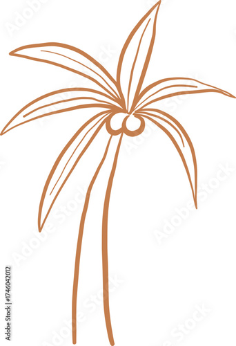 Line Art Minimalist Coconut Tree Botanical Style
