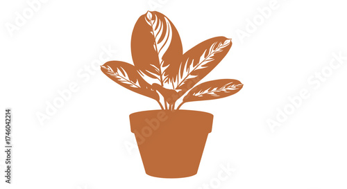 Potted plant illustration with distinct leaf patterns in a terracotta pot, a simple and elegant botanical graphic