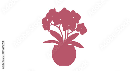 Orchid plant in a vase with flowers and leaves on a white background