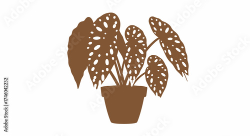 Brown Potted Plant with Distinctive Leaf Pattern - Botanical Illustration