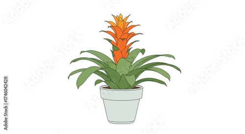 A vibrant orange bromeliad plant in a light gray pot against a white background, perfect for home decor and botanical illustration