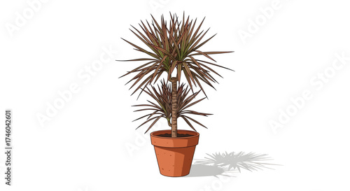 Potted Dracaena Plant with Multiple Stems and Dark Red Leaves
