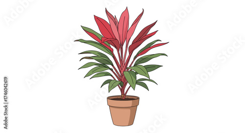 A potted ornamental plant with vibrant red and green foliage, adding a touch of natural beauty to indoor spaces
