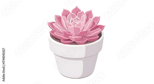 A beautiful pink succulent plant in a white pot on a white background, perfect for home decor and gardening inspiration