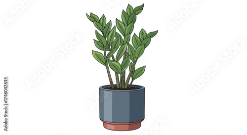A potted ZZ plant, known for its resilience and lush green foliage, adding a touch of nature to any indoor space
