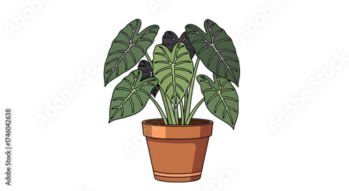 Illustration of a potted plant with large, dark green leaves and intricate veining, perfect for home decor and botanical art