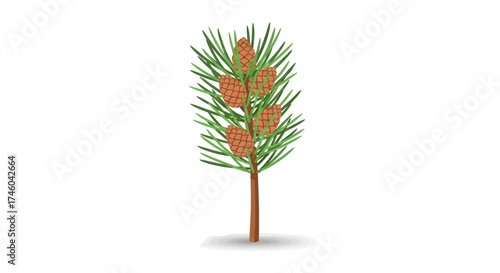 A detailed illustration of a pine tree branch with developing pinecones and needles against a white background
