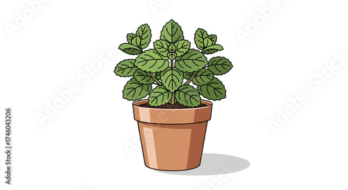 A vibrant illustration of a healthy potted mint plant, showcasing its lush green leaves and earthy terracotta pot with a subtle shadow