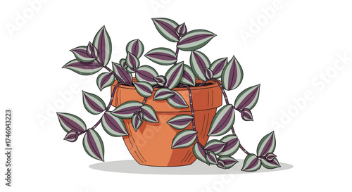 Hand-drawn illustration of a Tradescantia Zebrina plant in a terracotta pot, showcasing its distinctive striped leaves and trailing vines