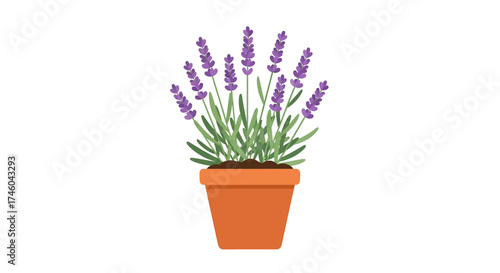 Beautiful blooming lavender plant with purple flowers in a clay pot. Simple flat vector illustration icon isolated on a white background