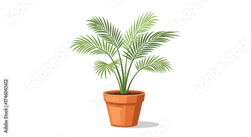 A healthy potted palm plant with green fronds in a terracotta pot, isolated on a white background, perfect for home decor and botanical illustrations