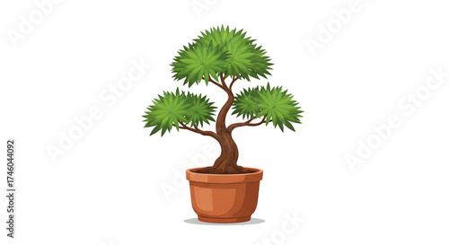 Potted green tree with dense foliage and thick trunk in a terracotta pot