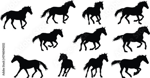 Silhouette of running horses in various motion poses showing speed, power, freedom, and grace, perfect for wildlife and design projects