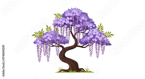 A beautiful illustration of a wisteria tree in full bloom with cascading purple flowers and green leaves against a white background