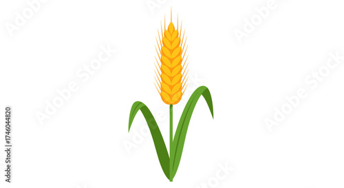 Golden Ear of Wheat Icon - Agriculture and Food Symbol