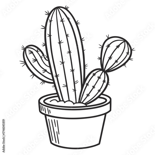Line drawing of a potted cactus plant