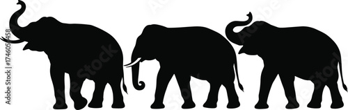 Elephant silhouettes walking in line, wildlife animals, safari scene, black outline, nature illustration, African mammals, herd movement, isolated white background design