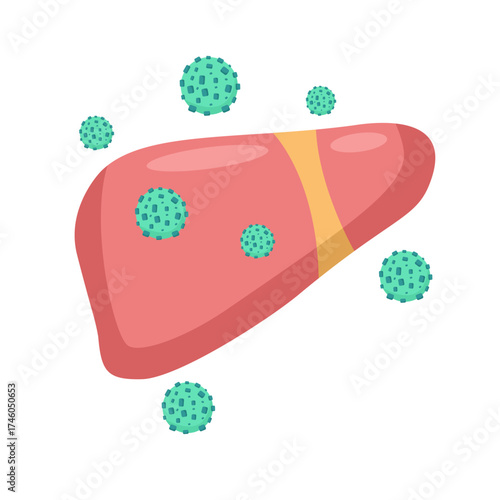 Anatomy Of Liver With Hepatitis 