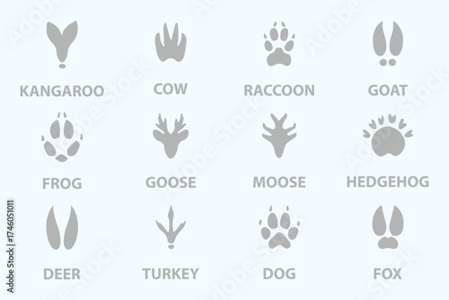 Illustration of various animal footprints showing distinct shapes for paw prints and tracks from different species. Wild animal feet silhouette. Vector zoo footsteps set.
