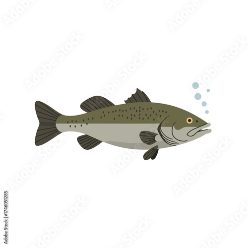An illustration of a fish swimming, featuring bubbles and a natural color palette.