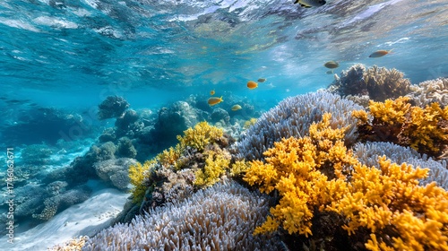 Vibrant Underwater Coral Reef Scene with Colorful Fish and Sunlight Filtering through Water Surface