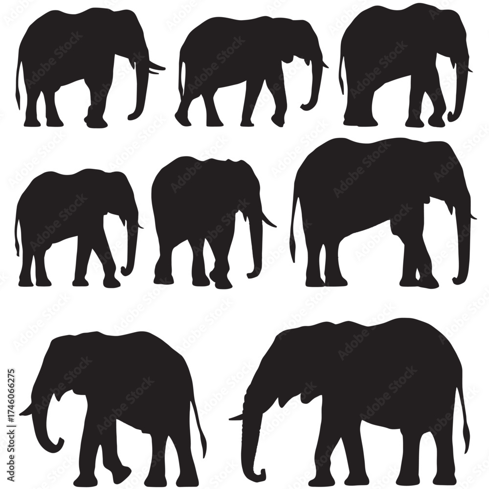 Fototapeta premium Set of Elephant Silhouettes and Wildlife Vector Illustrations