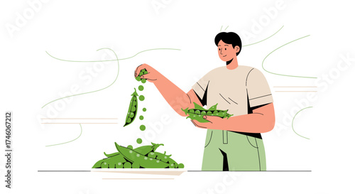 Harvesting Fresh Green Peas: A Vibrant Illustration of Healthy Organic Produce