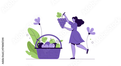 Harvesting Illustration Depicting A Woman Gathering Grapes And Placing Them In A Basket