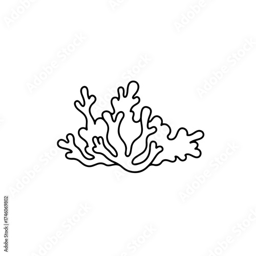 Simple Black Line Art of Intricate Seaweed