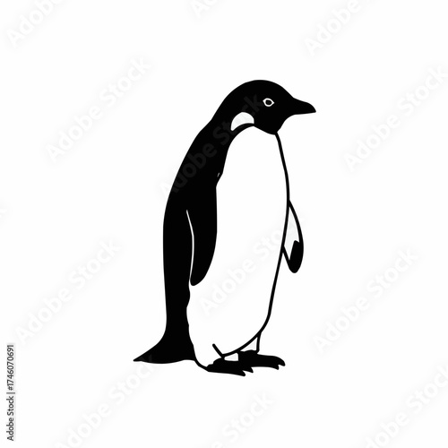 Elegant Black And White Penguin Illustration